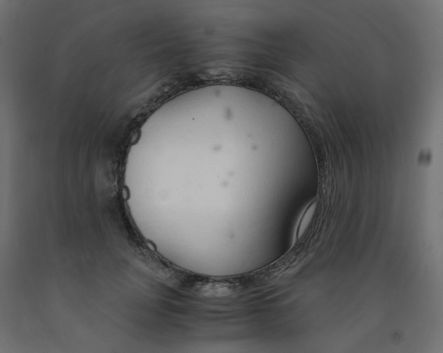 X0000091860751200710031701