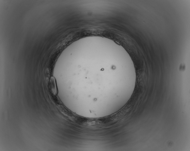 X0000091860752200710031701