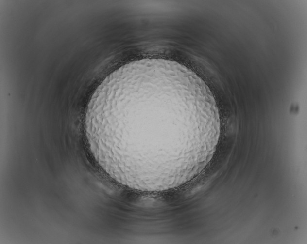 X0000091860753200710031701