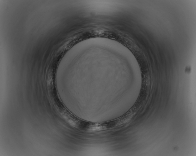 X0000091860754200710031701