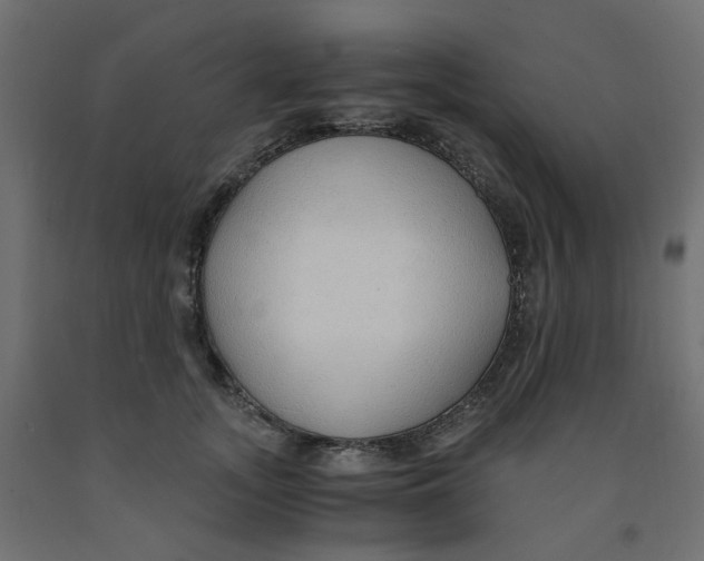 X0000091860755200710031701