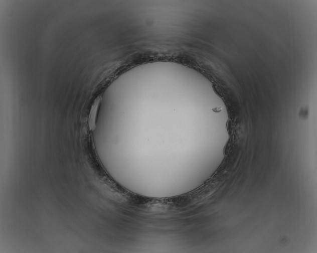 X0000091860756200710031701