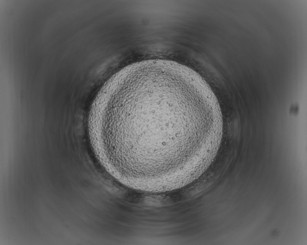 X0000091860757200710031701