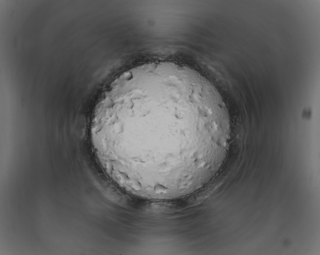 X0000091860758200710031701