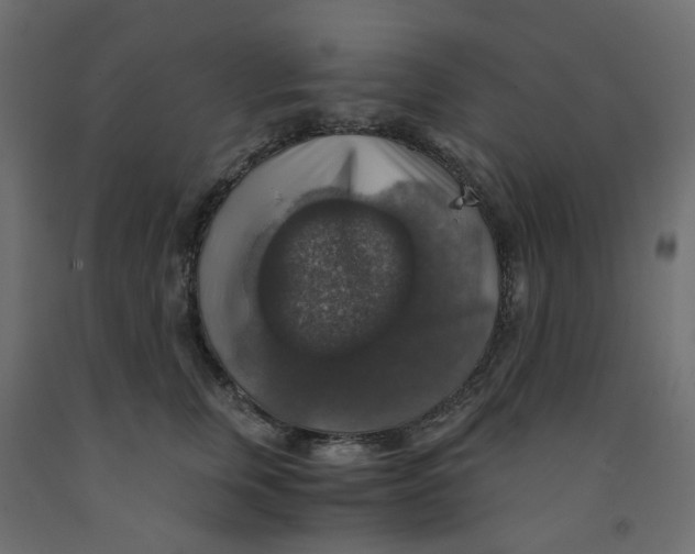 X0000091860759200710031701