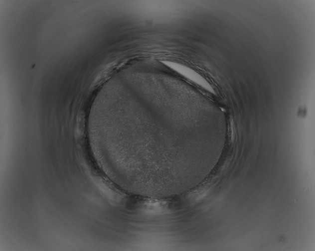 X0000091860760200710031701