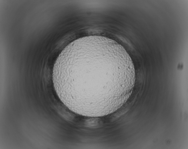 X0000091860761200710031701