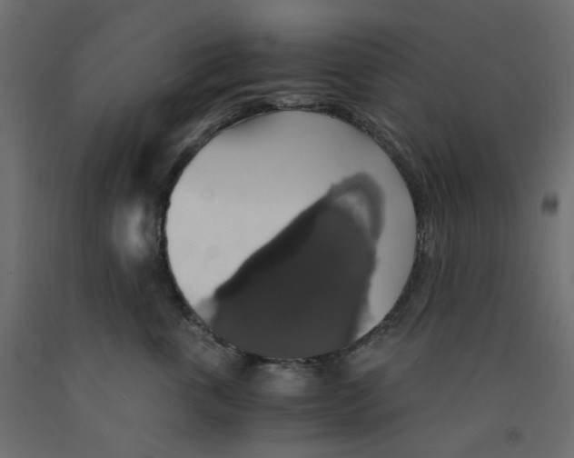 X0000091860763200710031701