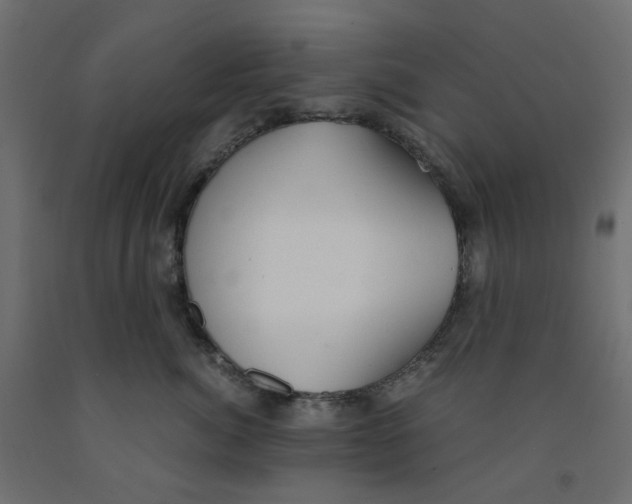 X0000091860764200710031701