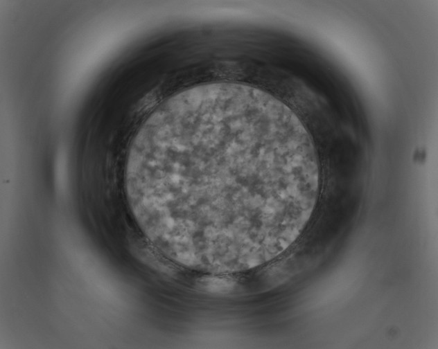 X0000091860765200710031701