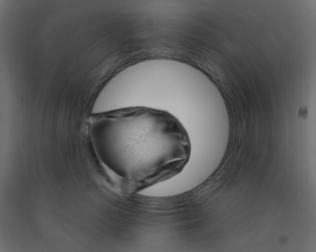 X0000091860766200710031701