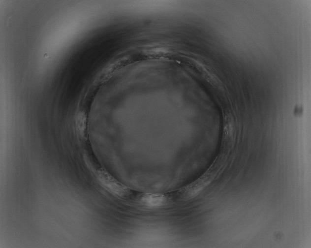 X0000091860767200710031701