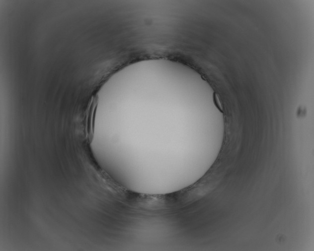 X0000091860768200710031701