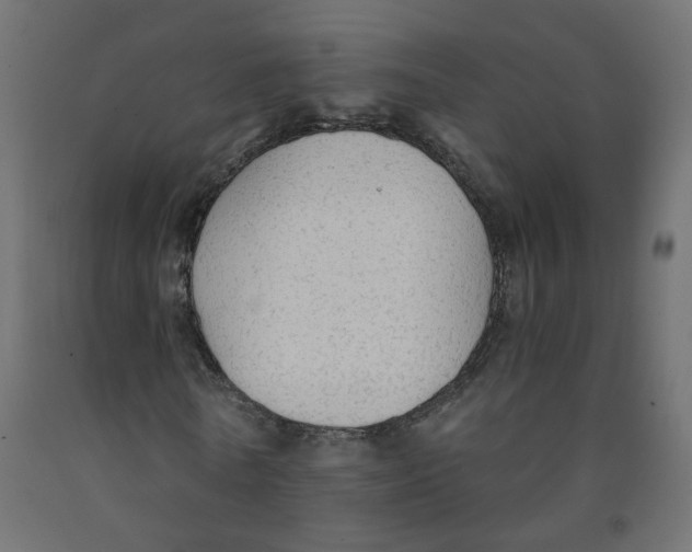 X0000091860770200710031700