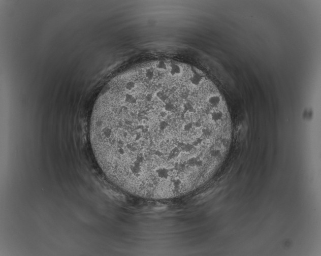 X0000091860772200710031700