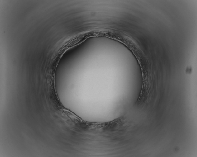 X0000091860773200710031700