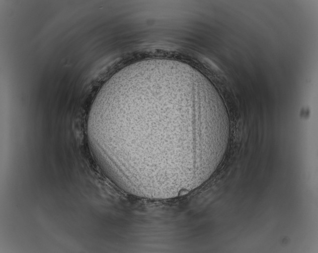 X0000091860774200710031700