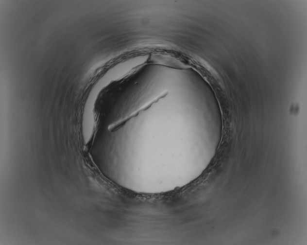 X0000091860775200710031700