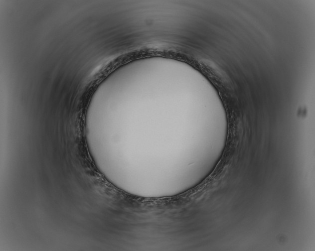 X0000091860776200710031700