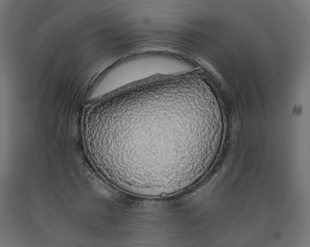 X0000091860777200710031700