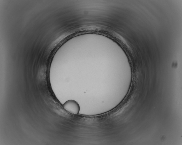 X0000091860778200710031700