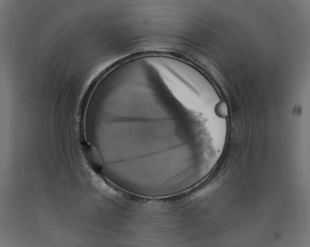 X0000091860779200710031700