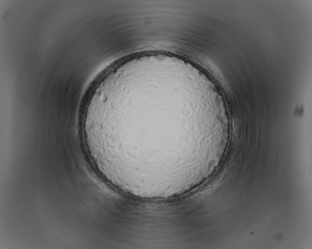 X0000091860780200710031700