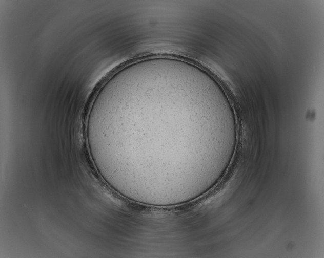 X0000091860782200710031700