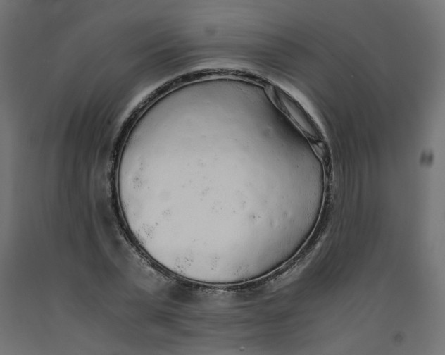 X0000091860783200710031700