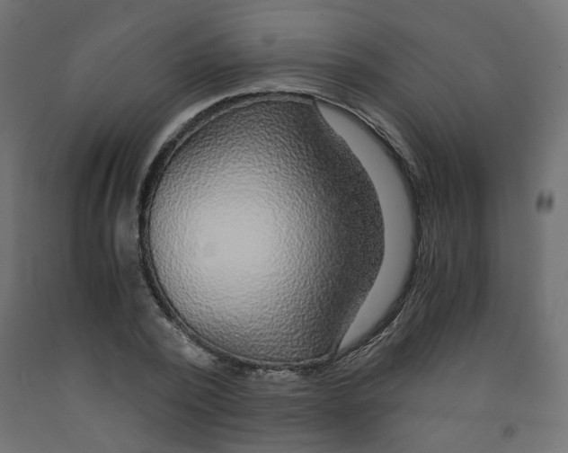 X0000091860784200710031700