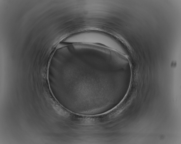 X0000091860785200710031700