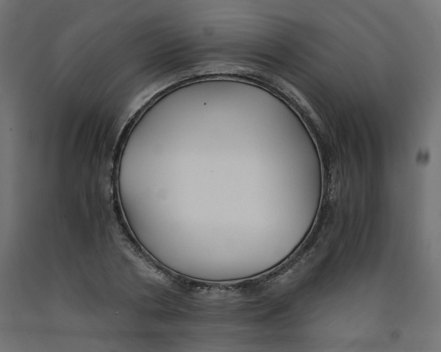 X0000091860786200710031700