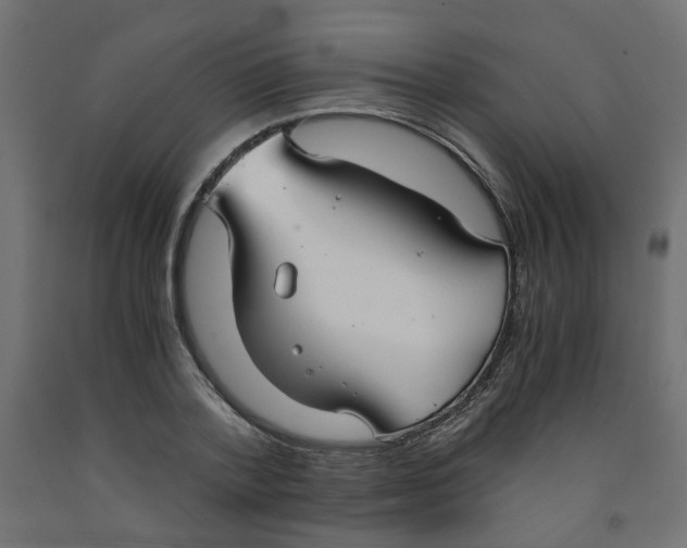 X0000091860788200710031700