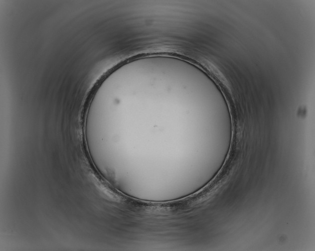 X0000091860789200710031700