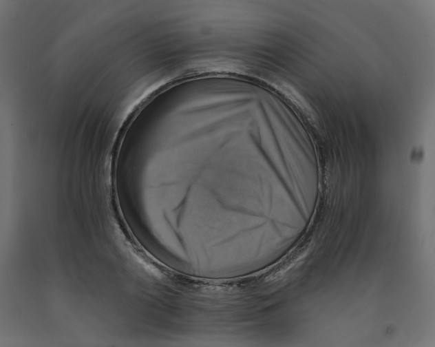 X0000091860790200710031700