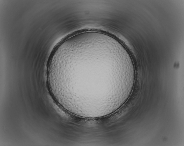 X0000091860791200710031700