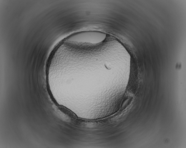 X0000091860792200710031700