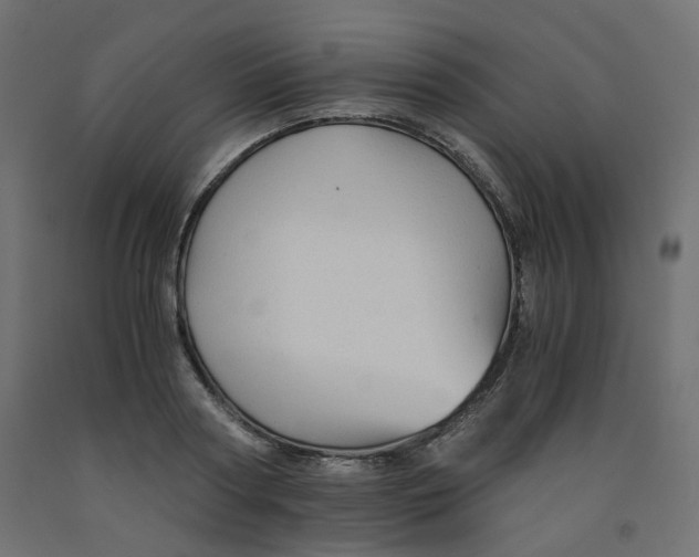 X0000091860794200710031700