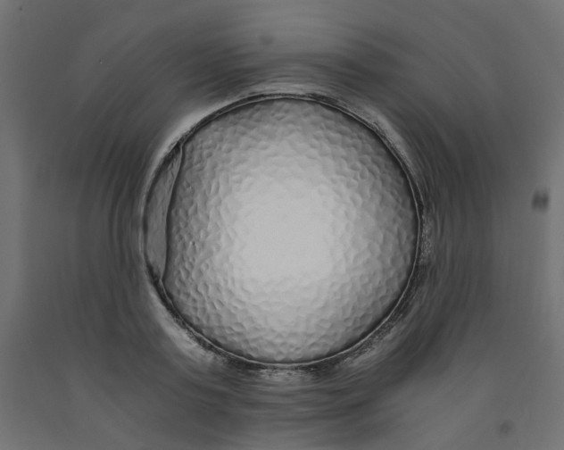 X0000091860795200710031700