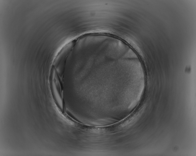 X0000091860797200710031700