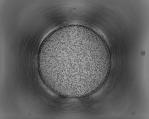 X0000091860798200710031700