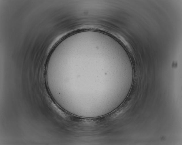 X0000091860799200710031700