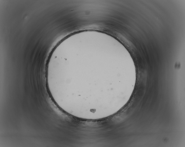 X0000091860800200710031700