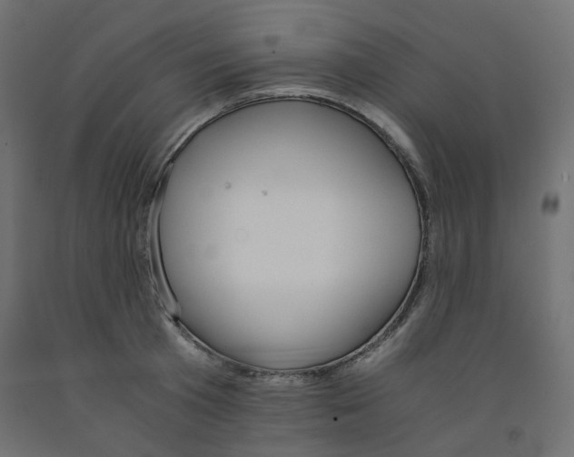 X0000091860801200710031700