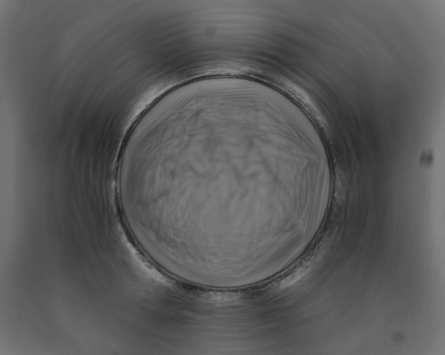 X0000091860802200710031700