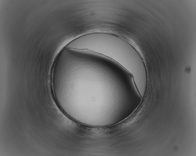 X0000091860803200710031700