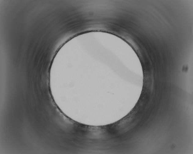 X0000091860807200710031700