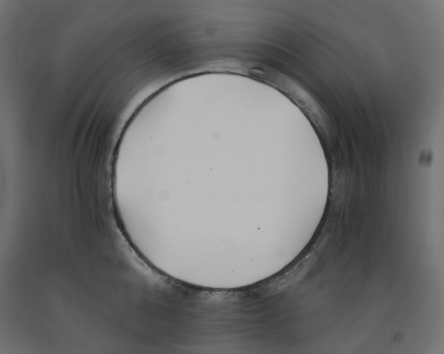 X0000091860808200710031700