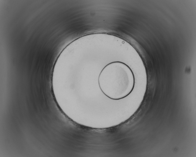 X0000091860810200710031700