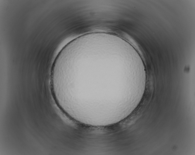 X0000091860811200710031700